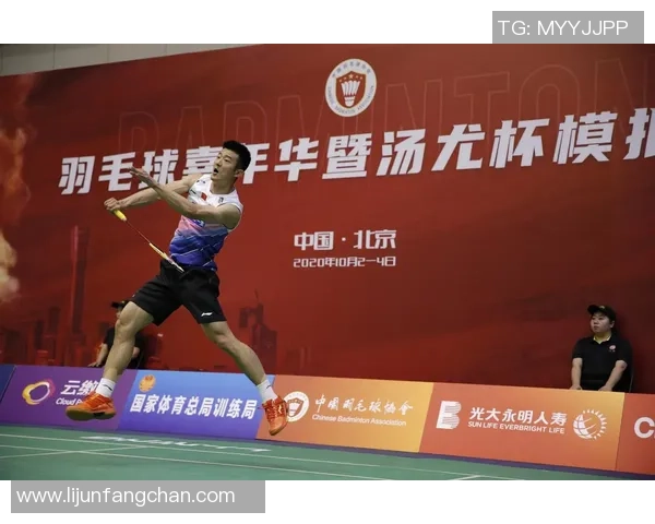 南京羽毛球队杯赛战术分析与表现评估探讨