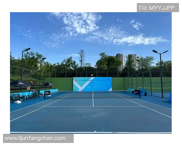 成都网球队的节奏揭秘：深度解析网球运动的魅力与挑战