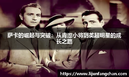 星空·综合体育官方网站