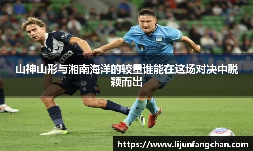 星空综合官网