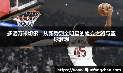 星空·综合体育官方网站
