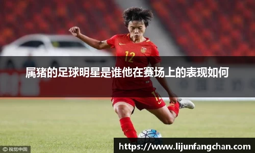 星空·综合体育官方网站